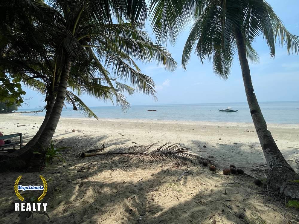 Are you looking for a beachfront property? It can only be found in Sibaltan, El Nido, Palawan