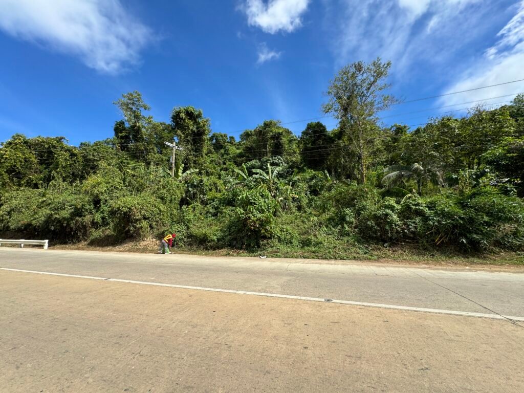 Land for Sale: Close Proximity to the  National Highway